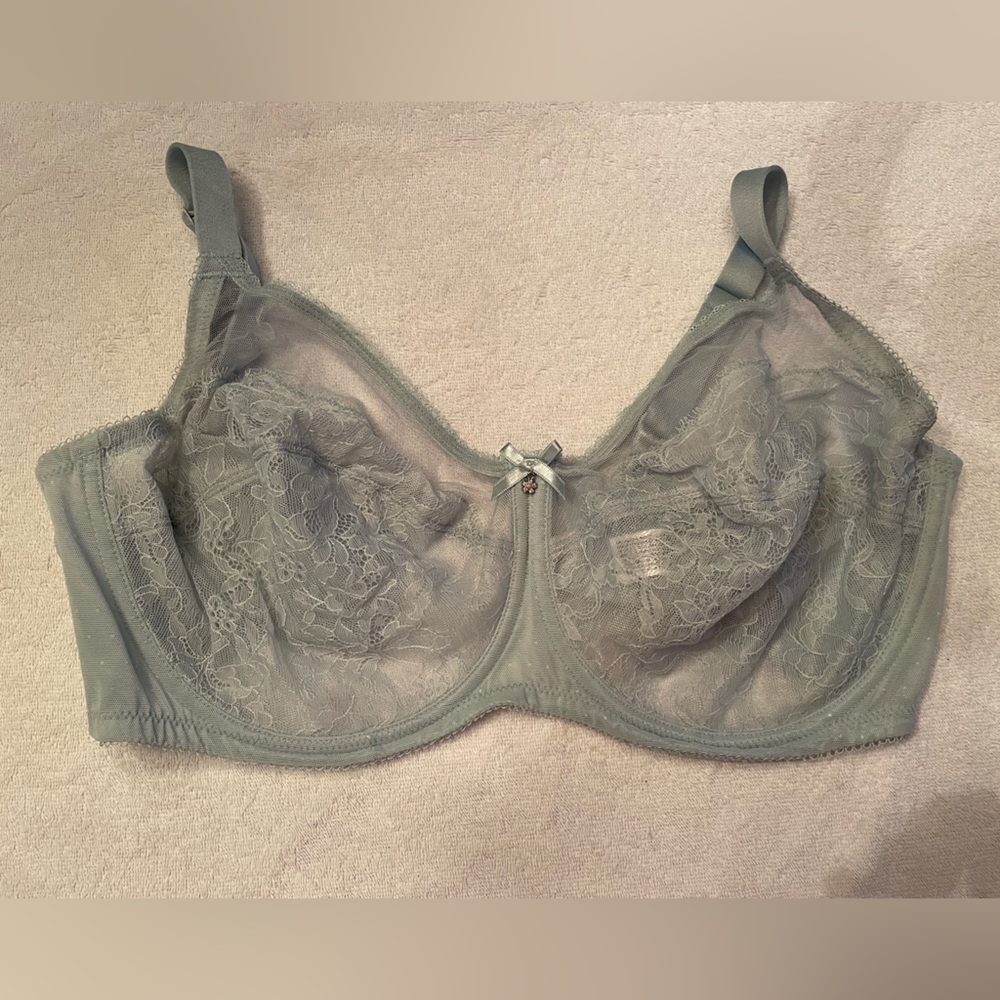 NWOT Wacoal Retro Lace light blue underwire bra 38DDD
